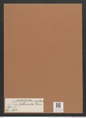 Navicula trilineata Grove et Sturt. (de-Toni-Nr.: Genus 1, Species 191) Zeichnungen Sammlung Grunow Mappe 00155 (Herbarium_W_Grunow_drawings_Folder_00155)